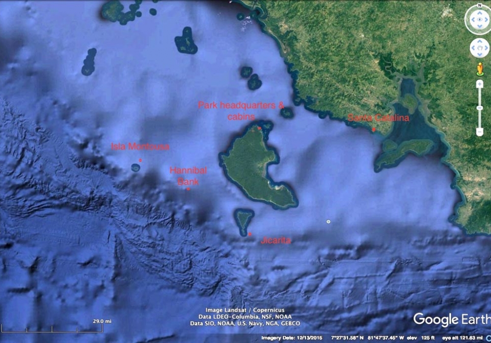 Contact Us - Black Marlin Fishing - Marlin Panama