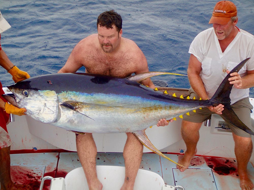 Sportfishing Panama - Black Marlin & Blue Marlin Fishing Charter Coiba