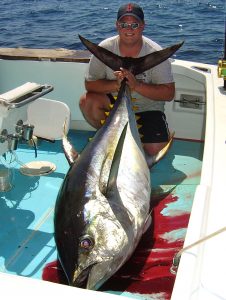 Yellowfin Tuna - Black Marlin Fishing - Marlin Panama