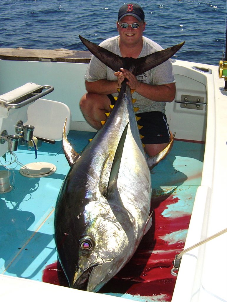 Sportfishing Panama - Black Marlin & Blue Marlin Fishing Charter Coiba